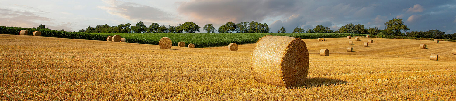 Ambiance Rapido Serie 8F