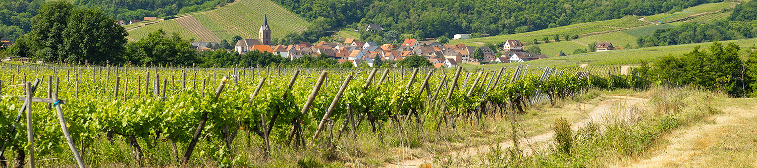 Ambiance Rapido Serie 8F